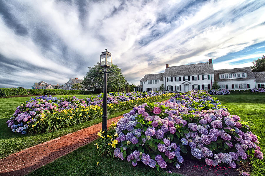 Cape Cod Hydrangea Festival Robert Paul Properties